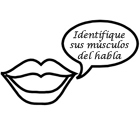 Paso 7